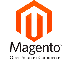 Magento Professional Magento Professional