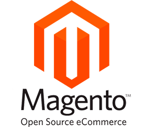 Magento Professional